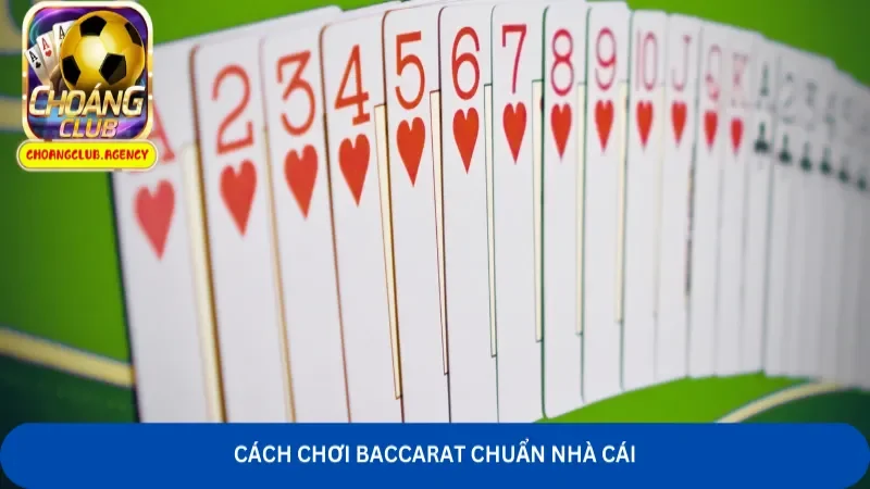 cách chơi Baccarat